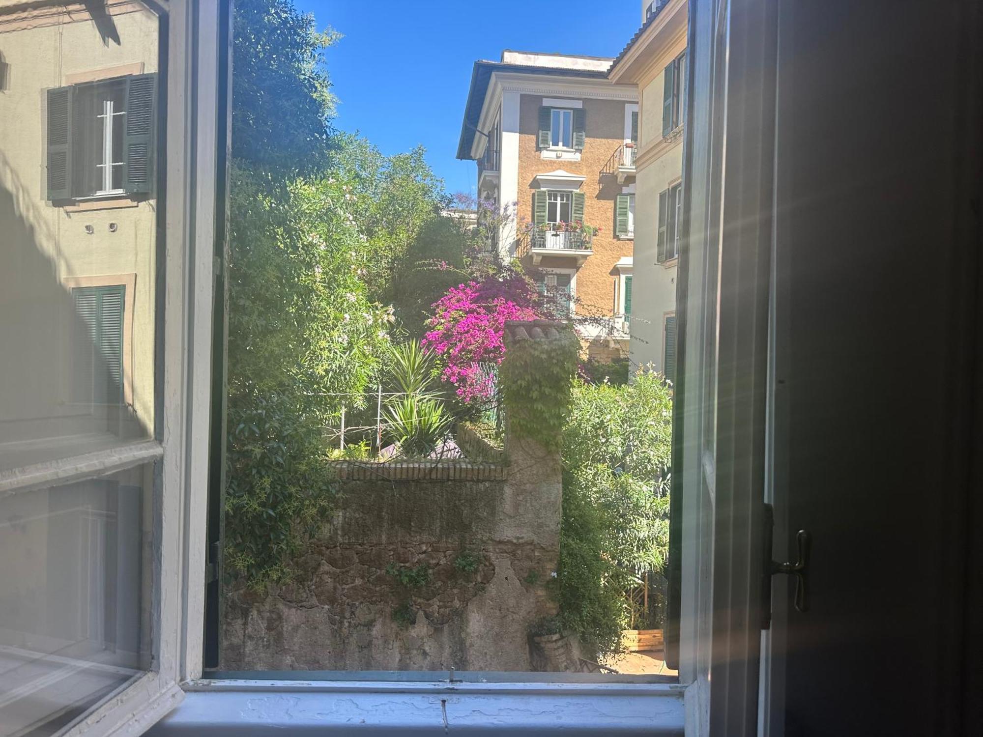 Window *
