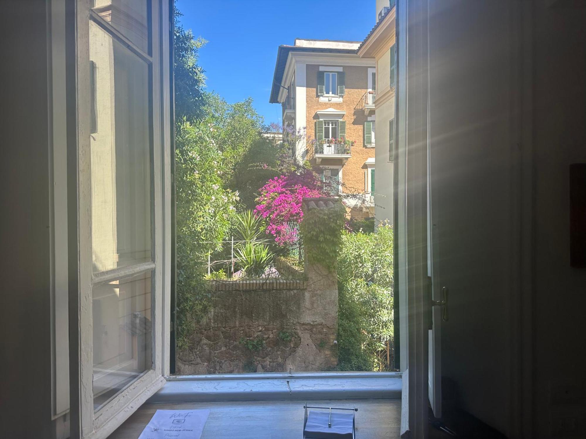 Window *