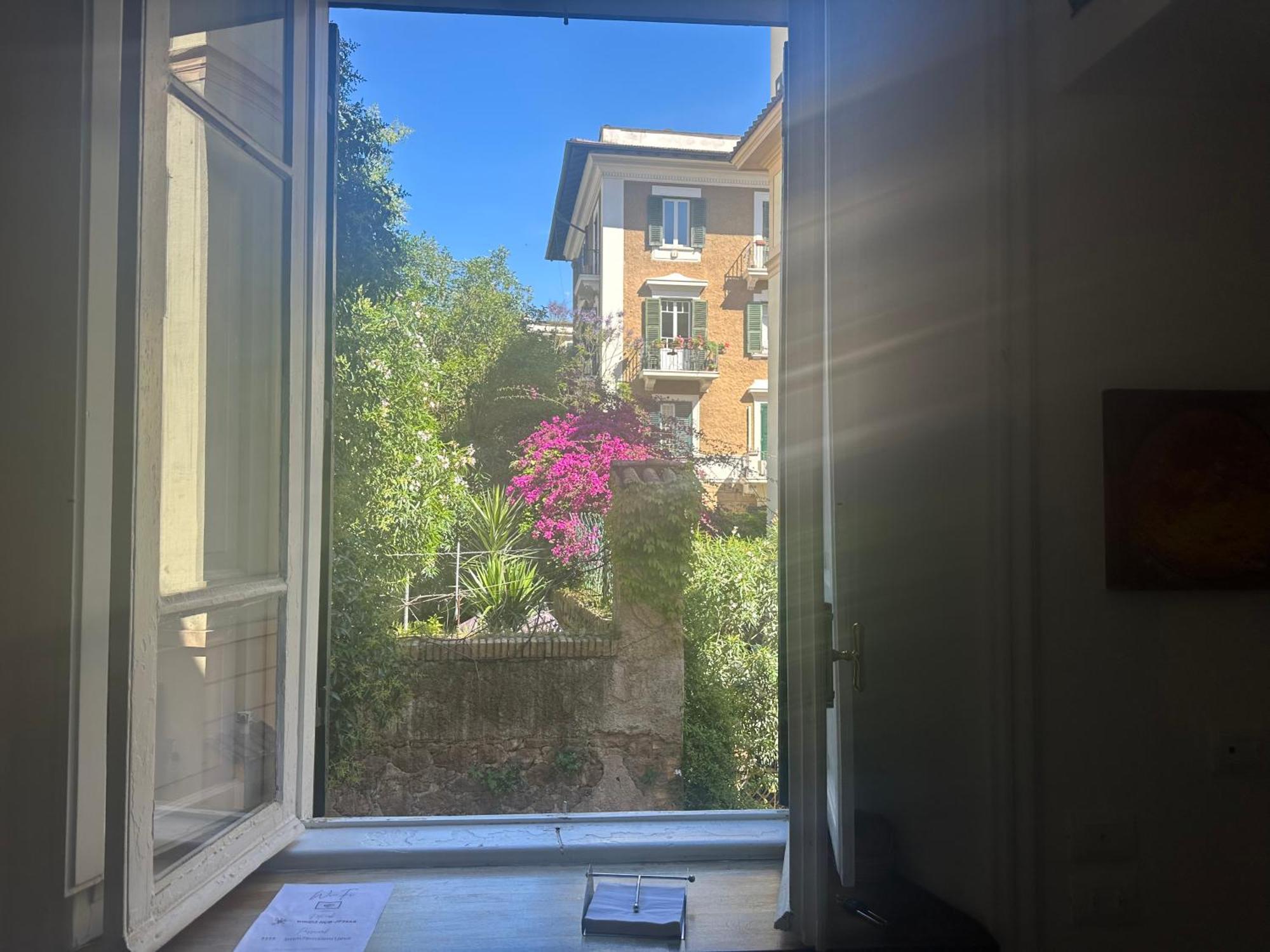 Window